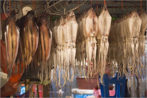 Poster 30 x 20 cm - Squid and fish hanging from ceiling with fans in back at stall along Jagalchi Fish Market. von Martin Moos / Lonely Planet Images - auch in anderen Größen und als Leinwandbild erhältlich