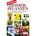 Pflanzenecke f�r Anf�nger