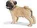 Schleich Male Pug