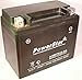 PowerStar PS12-BS-f120020D5 Ytx12-Bs Battery & Charger