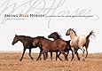 Among Wild Horses: A Portrait of the Pryor Mountain Mustangs