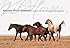 Among Wild Horses: A Portrait of the Pryor Mountain Mustangs