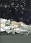 Cecily Brown (Italian Edition)