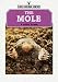 The Mole (Shire Natural History)