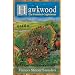 Hawkwood: Diabolical Englishman