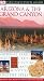 cover of Arizona and Grand Canyon (Eyewitness Travel Guides)