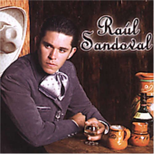 Raul Sandoval - PERDON PORQUE - Zortam Music