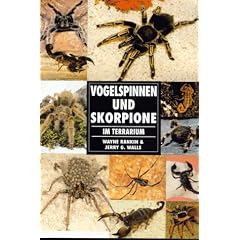 Vogelspinnen und Skorpione im Terrarium