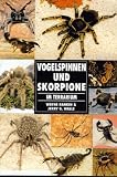 Vogelspinnen und Skorpione im Terrarium