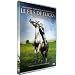 Le Fils de Flicka