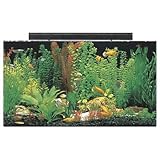 SeaClear Rectangular