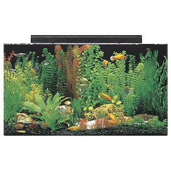 SeaClear Rectangular Aquarium Combo (Clear)