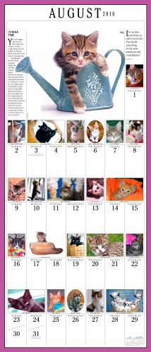 Cover image : The 365 Kittens a Year 2010 Calendar (Picture-A-Day Wall Calendars)