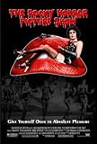 The Rocky Horror Picture Show - Movie Poster - 11 x 17