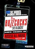 The ITV Live Archive Concert Series: The Buzzcocks [DVD] [NTSC]