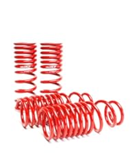 Skunk2 519-05-1650 Lowering Spring for Honda Civic/CRX