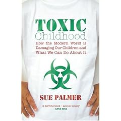 Toxic Childhood: How The Modern World Is Damaging Our Children And What We Can Do About It