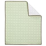 Bacati Quilted Baby Quilt - Green/Chocolate