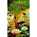 Sea without a Shore (Moontide Magic Rise)