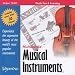 Multimedia Musical Instruments