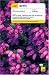 Teach Yourself Gaelic (Teach Yourself) by Boyd Robertson ISBN 034090626X