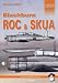 Blackburn Skua and Roc