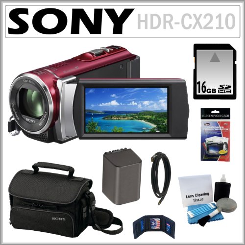 Sony HDR-CX210