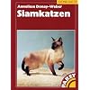 Siamkatzen: Kauf, Haltung, Pflege
