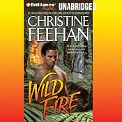 Wild Fire: Leopard Series, Book 4 | Christine Feehan