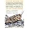 Great Insect and Spider Guides