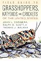 Field Guide To Grasshoppers, Katydids, And Crickets Of The United States