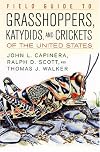 Field Guide To Grasshoppers, Katydids, And Crickets Of The United States