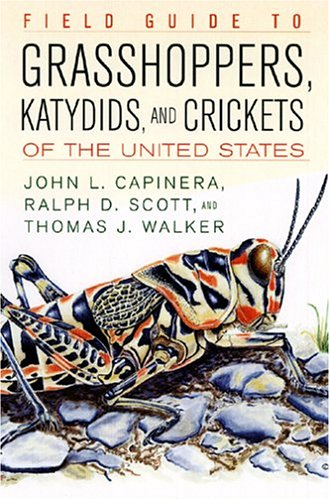  Scott Thomas
