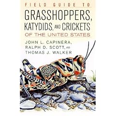 Field Guide to Grasshoppers, Katydids, and Crickets of the United States