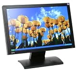 Benq FP202WA 50,8 cm (20 Zoll) Widescreen TFT-Monitor analog