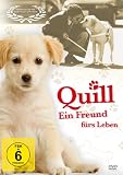 Produkt-Bild: Quill - Ein Freund f&uuml;r's Leben