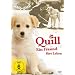 Quill - Ein Freund f�r's Leben