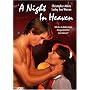 A Night in Heaven