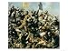 Battle of Little Bighorn, 25th June 1876 Art Giclee Poster Print by Edgar Samuel Paxson, 24x18