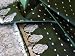 GREEN INDIAN BOLLYWOOD WEDDING SILK SARI SAREE FABRIC