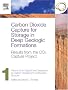 Carbon Dioxide Capture for Storage in Deep Geologic Formations - Results from the CO² Capture Project: Vol 1 - Capture and Separation of Carbon Dioxide ... and Verification (Co2 Capture Project) Carbon Dioxide Capture for Storage in Deep Geologic Formations - Results from the CO² Capture Project: Vol 1 - Capture and Separation of Carbon Dioxide ... and Verification (Co2 Capture Project)