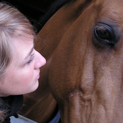 Produkt-Bild: Tier-Fotoshooting