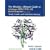 The Absolute, Ultimate Guide to Lehninger Principles of Biochemistry 4e