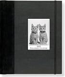 Cat Suedel 2009 Calendar (Large Suedel Engagement Calendars)