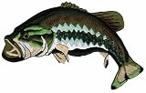 Bass Fish Patch Embroidered Largemouth Large Mouth Freshwater Fishing Iron-On Emblem