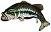 Bass Fish Patch Embroidered Largemouth Large Mouth Freshwater Fishing Iron-On Emblem