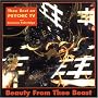 Beauty From Thee Beast: The Best of Psychic TV Beauty From Thee Beast: The Best of Psychic TV