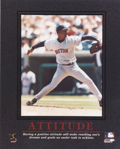 Pedro Martinez Photograph | Details: Boston Red Sox, 8x10, Inspirational 