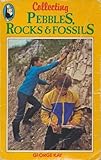 Collecting pebbles, rocks & fossils