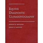 Equine Diagnostic Ultrasonography by Angus O. McKinnon and Norman W. Rantanen